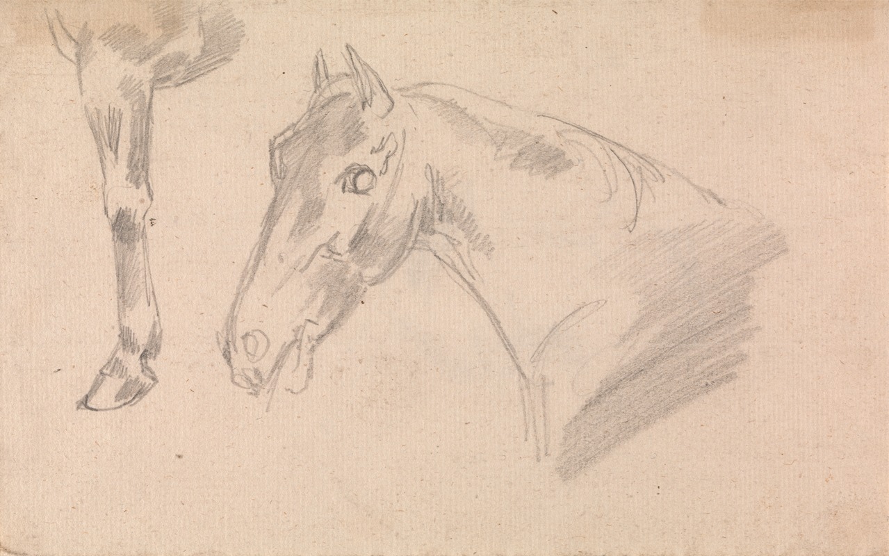 Sawrey Gilpin - Study of head and neck of a horse