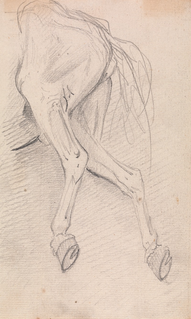 Sawrey Gilpin - Study of hind quarters of a horse