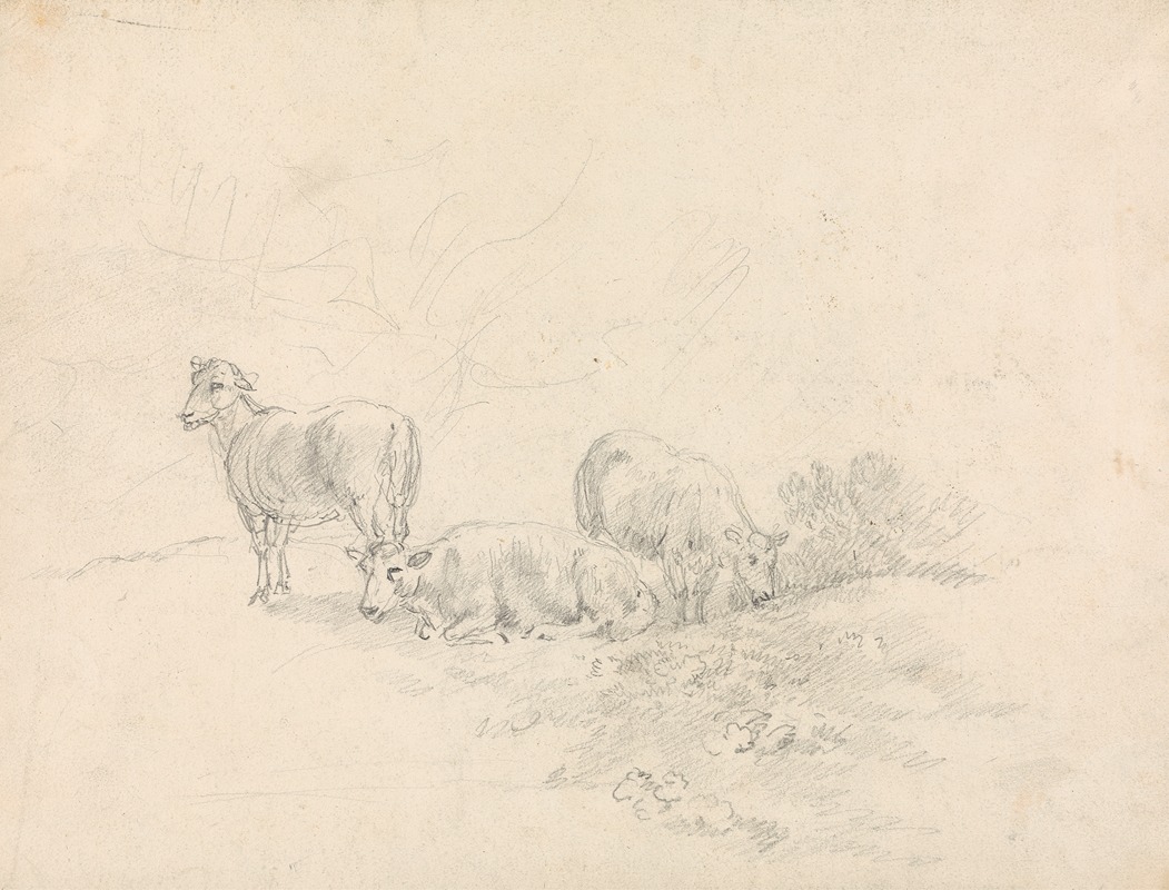 Sawrey Gilpin - Three Sheep