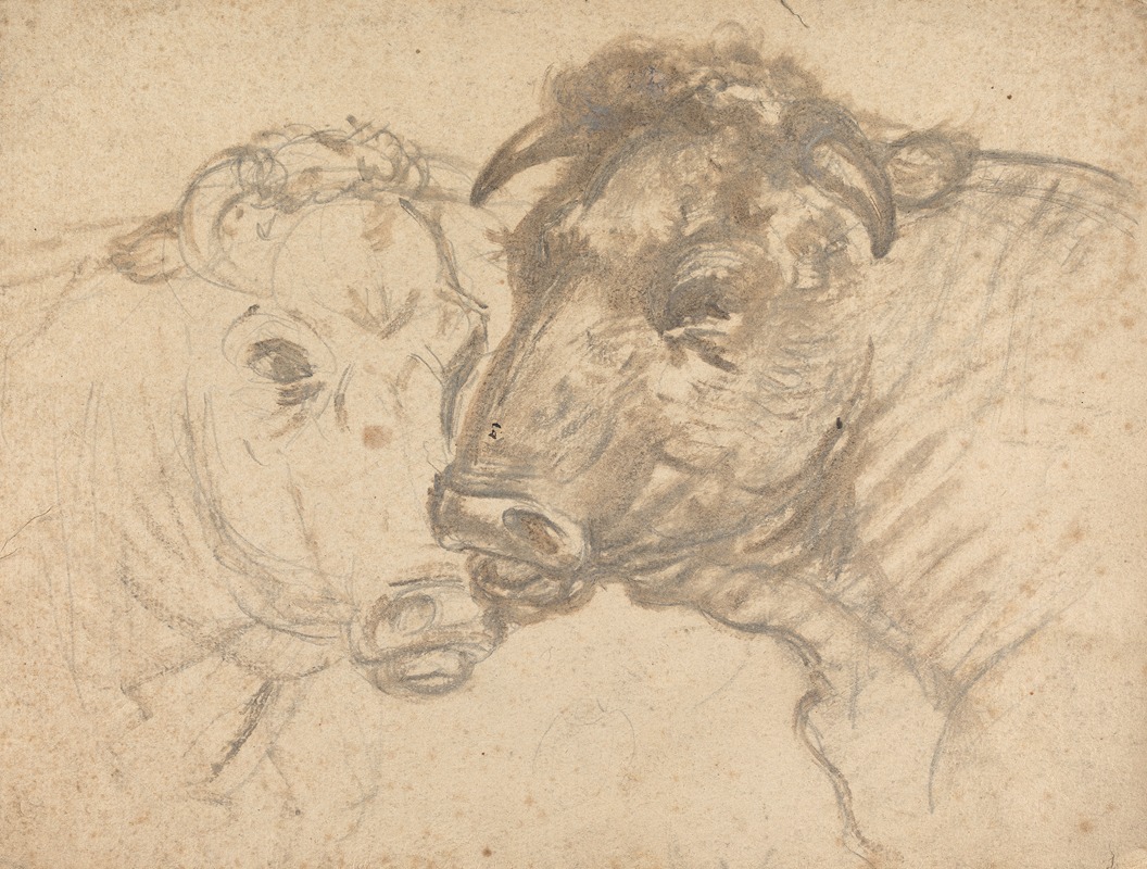 Sawrey Gilpin - Two Bulls