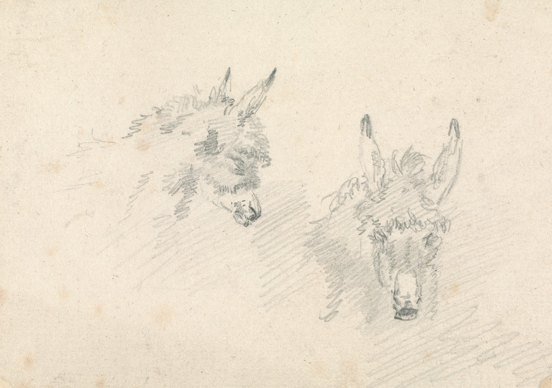 Sawrey Gilpin - Two Heads of Donkeys