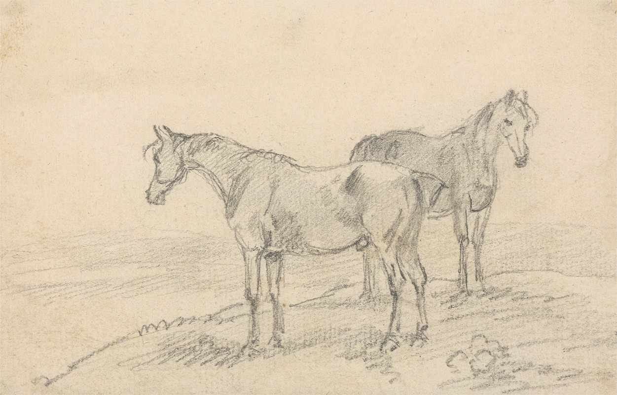 Sawrey Gilpin - Two Horses