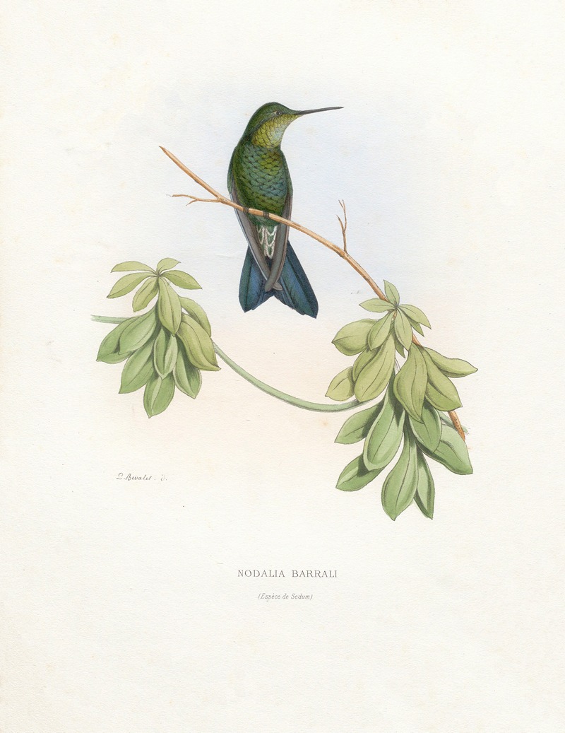 Paul Eugène Mesplès - Nodalia Barrali