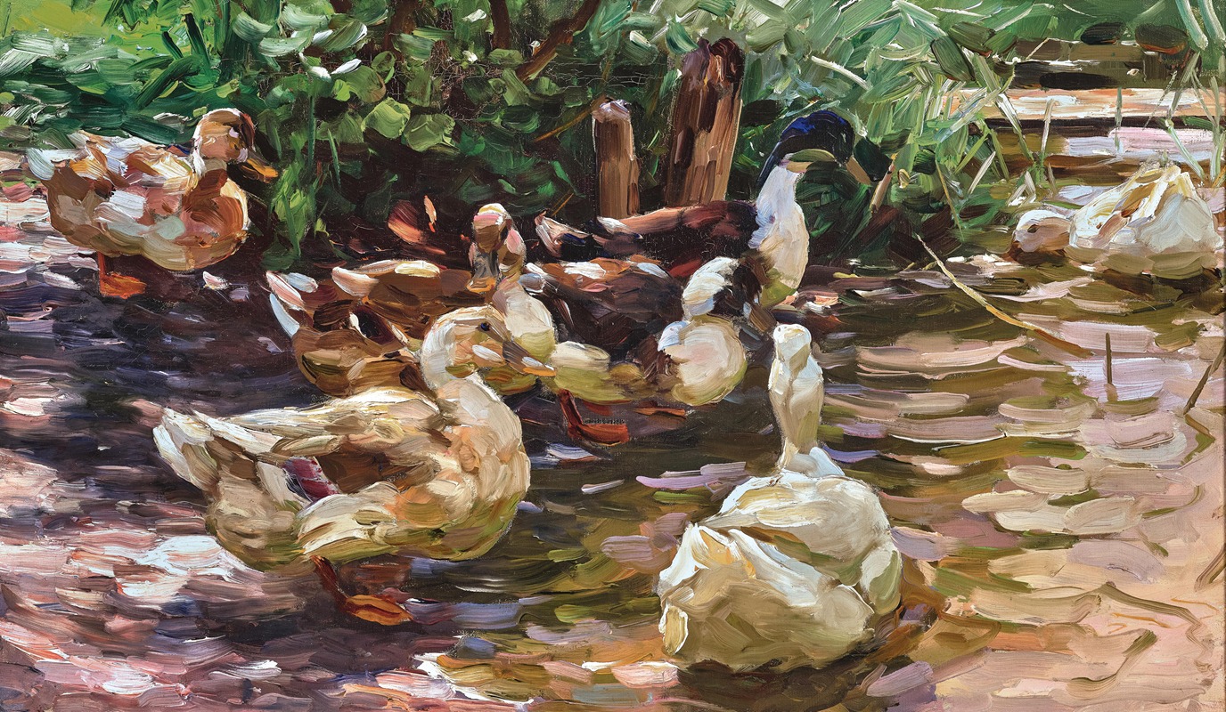 Alexander Koester - Sunny Water