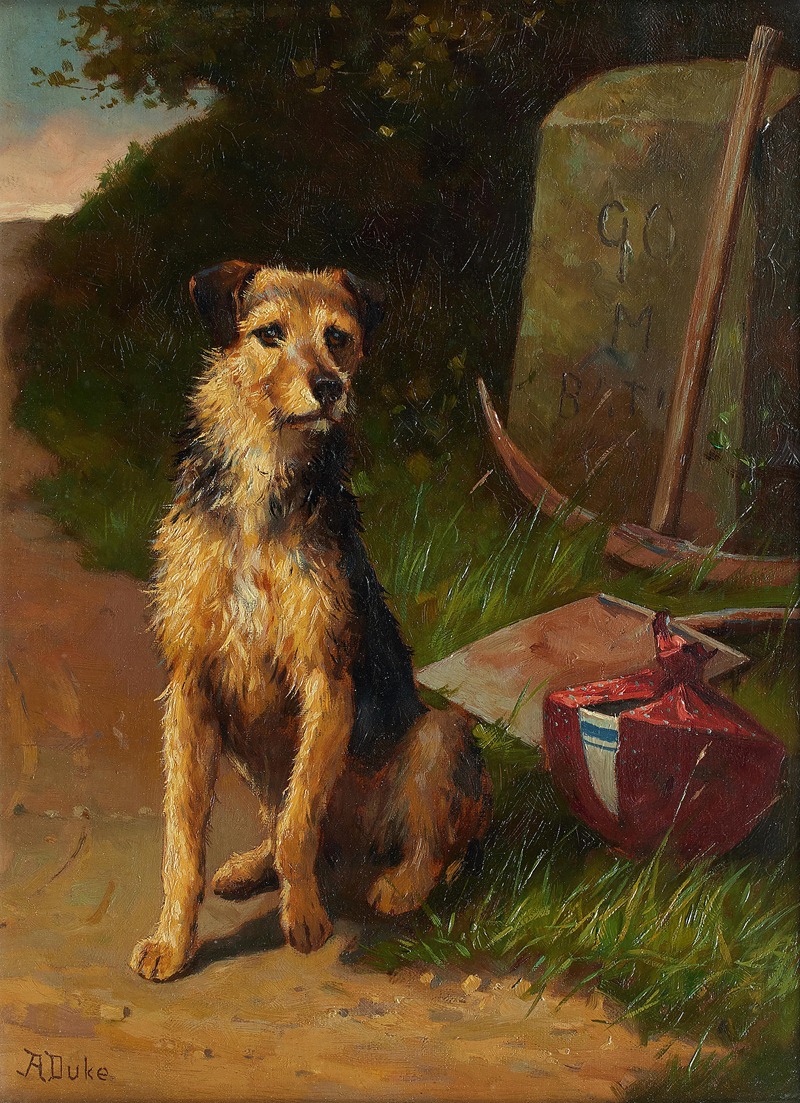 Alfred Duke - A faithful companion – Rough Coat Terrier