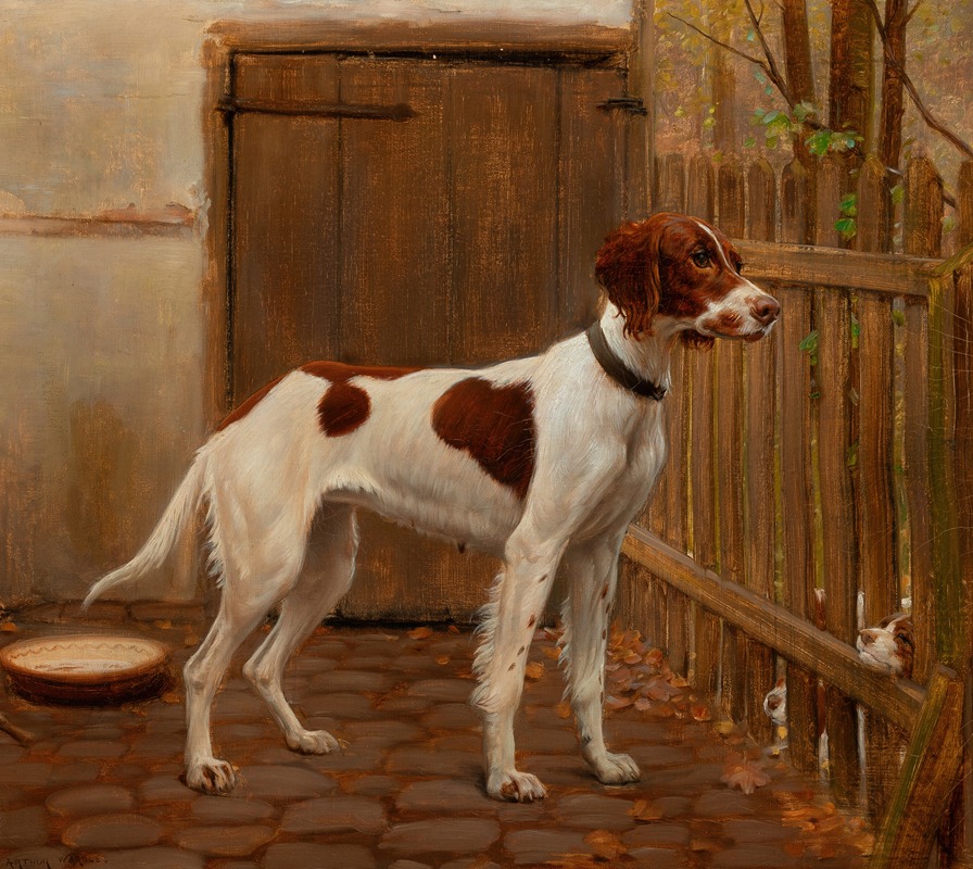Arthur Wardle - Checking on the puppies