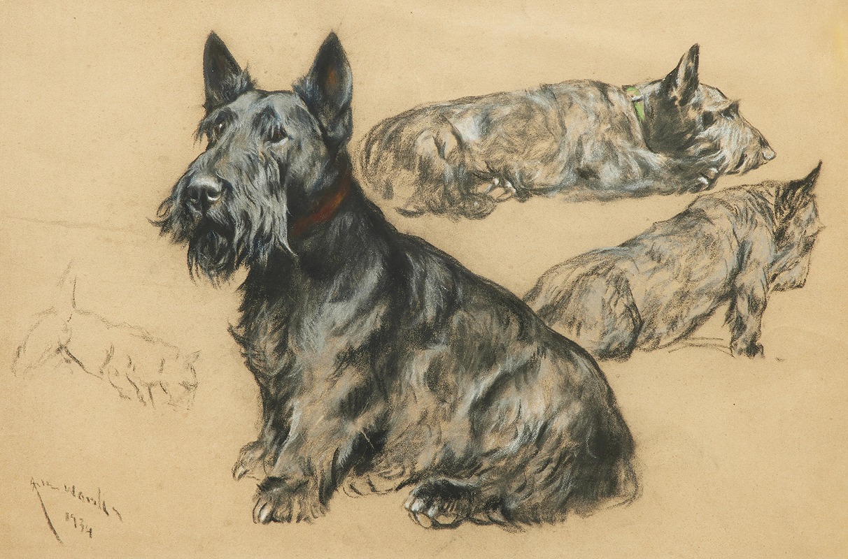 Arthur Wardle - Studies of a Scottish Terrier