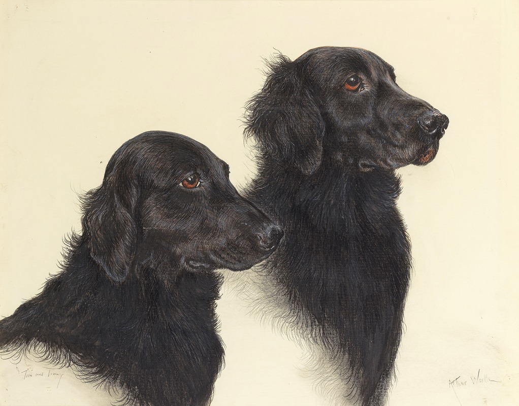 Arthur Wardle - Tim and Linny – a pair of Flat Coat Retrievers