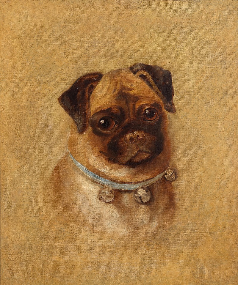 English School - Portrait of a Pug