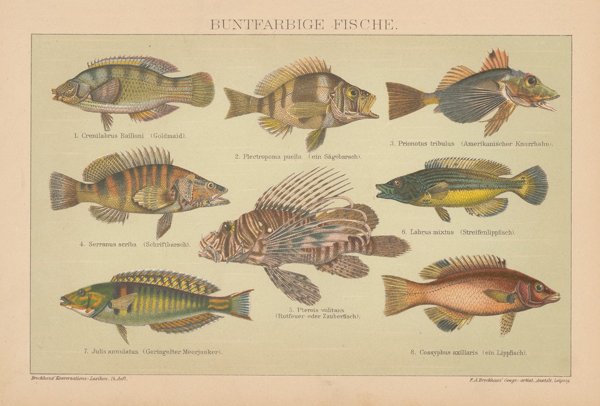 F.A. Brockhaus - Buntfarbige fische