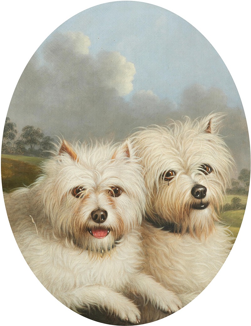 George Stevens - West Highland Terriers