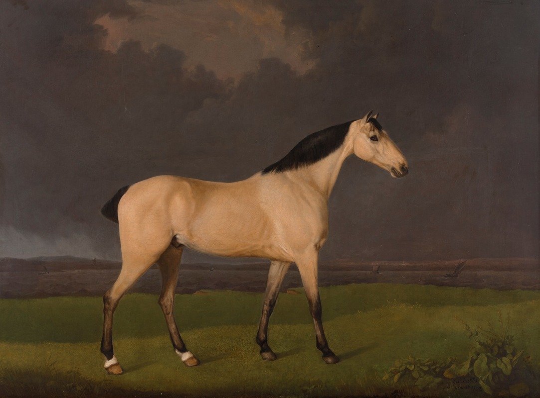 George Stubbs - A dun hunter on the south bank of the River Humber, Lincolnshire