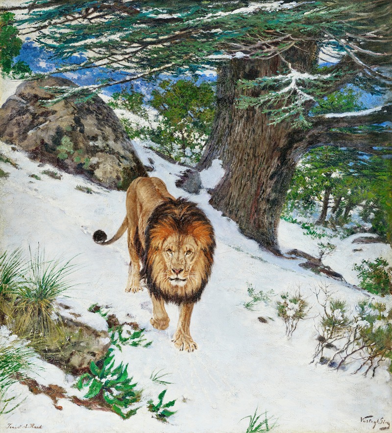 Geza Vastagh - A Barbary Lion In The Snow In Theniet El Had