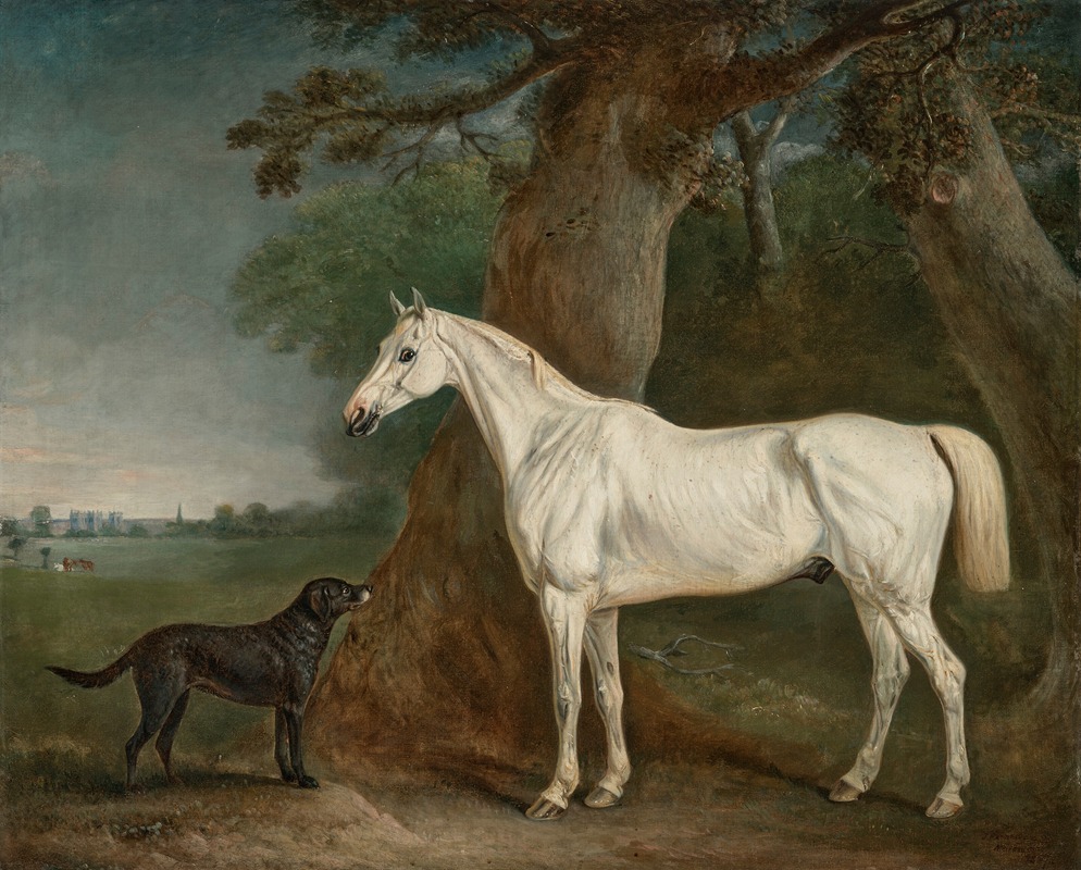 John Ferneley Senior - William Bowan Jordan Wilson’s grey hunter and Newfoundland shooting dog, in a wooded landscape