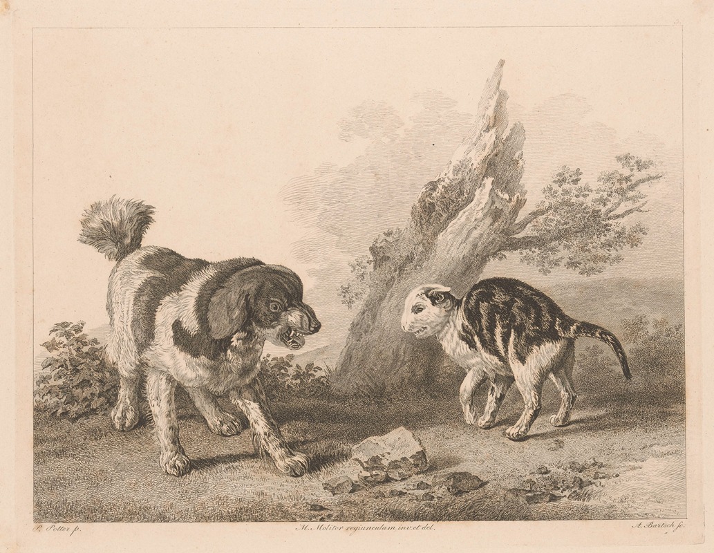 Adam von Bartsch - Dog and cat in fighting position facing each other