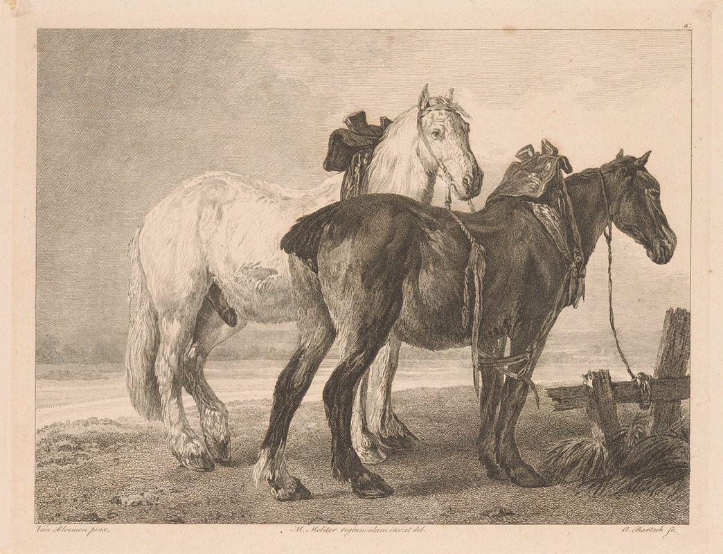 Adam von Bartsch - Two horses in a river landscape