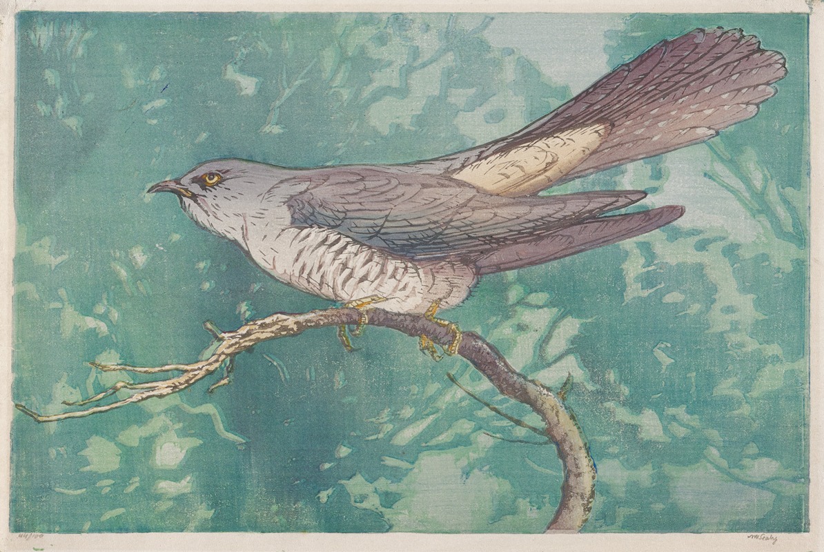 Allen W. Seaby - Cuckoo