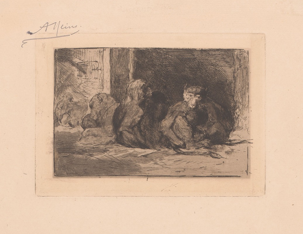 Armand Heins - Groep apen in een verblijf