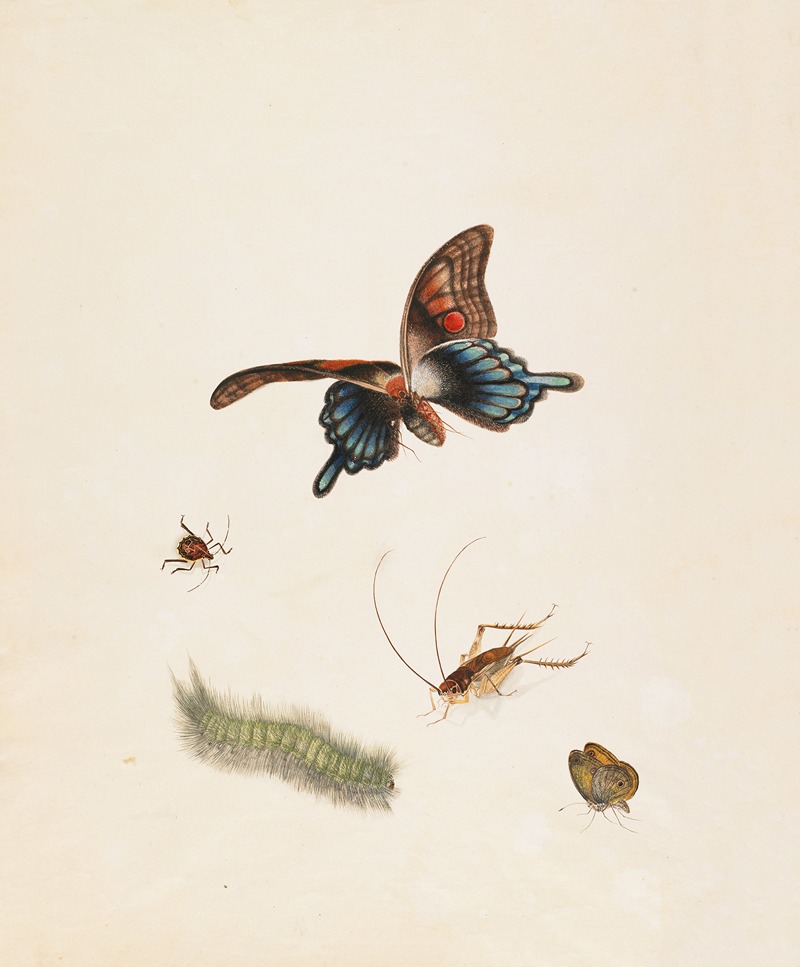 English School - Insects