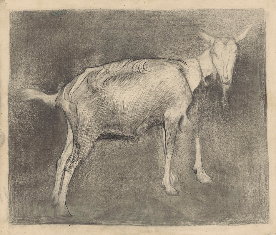 Jan Mankes - Staande geit, naar rechts