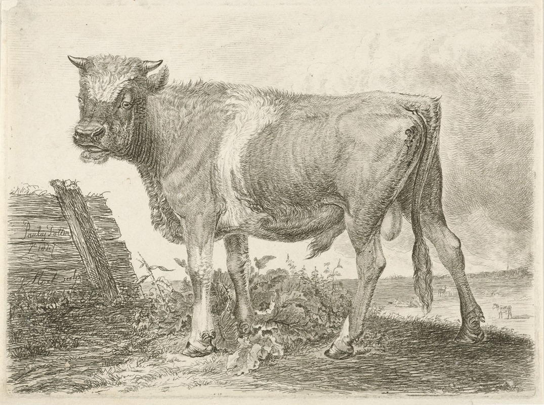 Johannes Mock - Stier