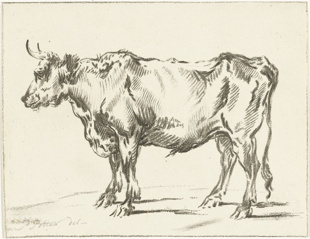 Jurriaan Cootwijck - Staande os