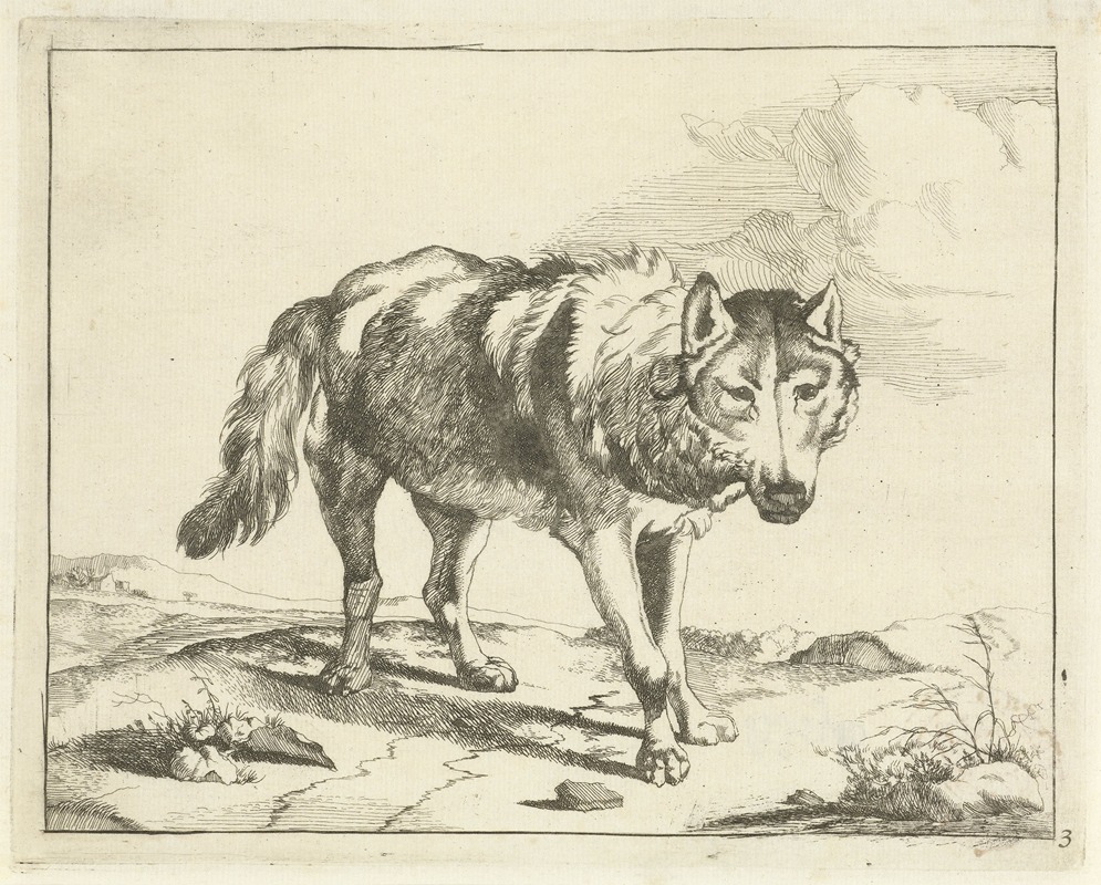 Marcus de Bye - Staande wolf van voren gezien