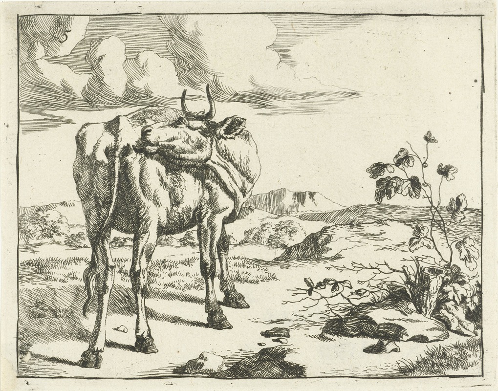 Marcus de Bye - Koe zichzelf likkend