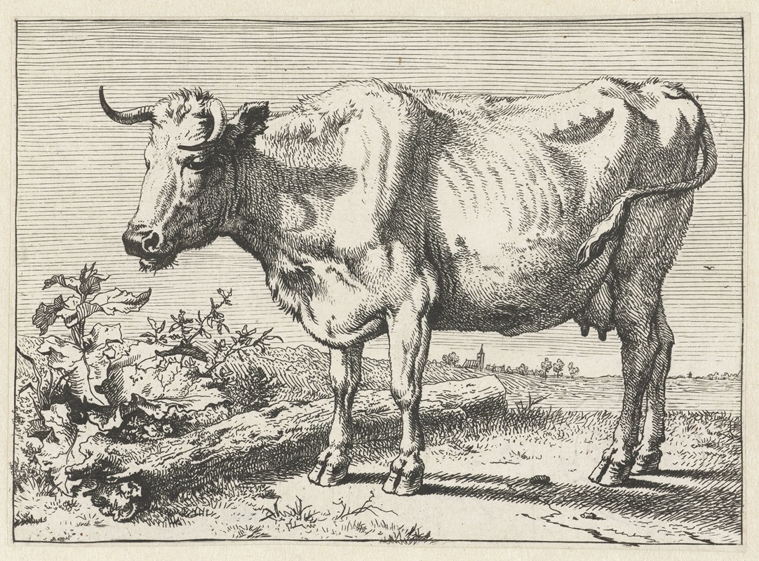 Paulus Potter - Koe met gedraaide hoorn.