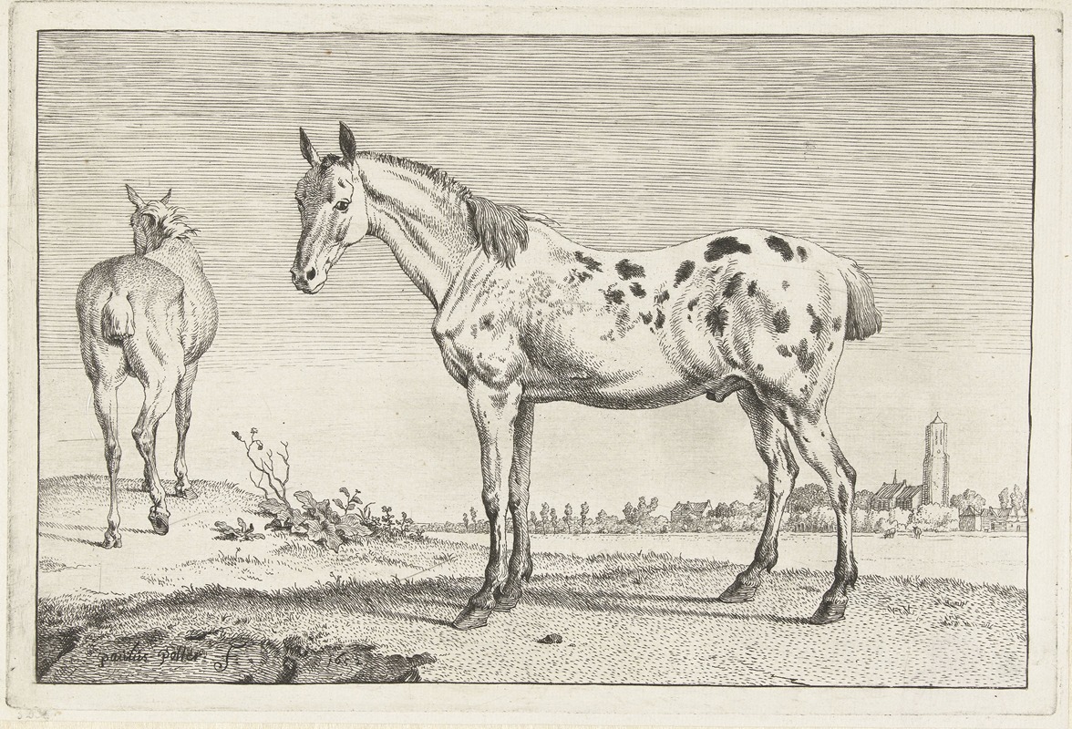 Paulus Potter - Het gecoupeerde paard Paarden