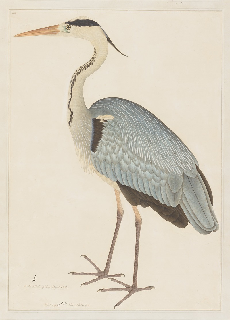 Ramdas - Grey Heron