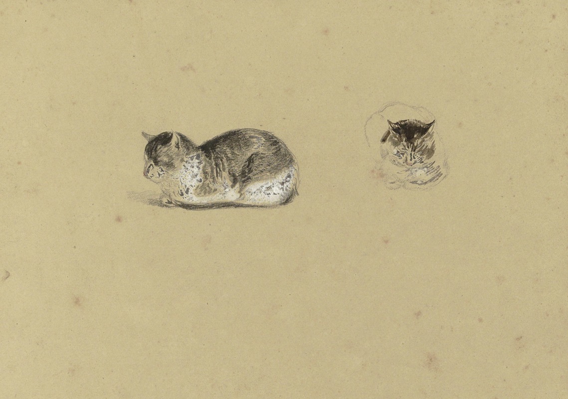 Reinier Craeyvanger - Liggende kat