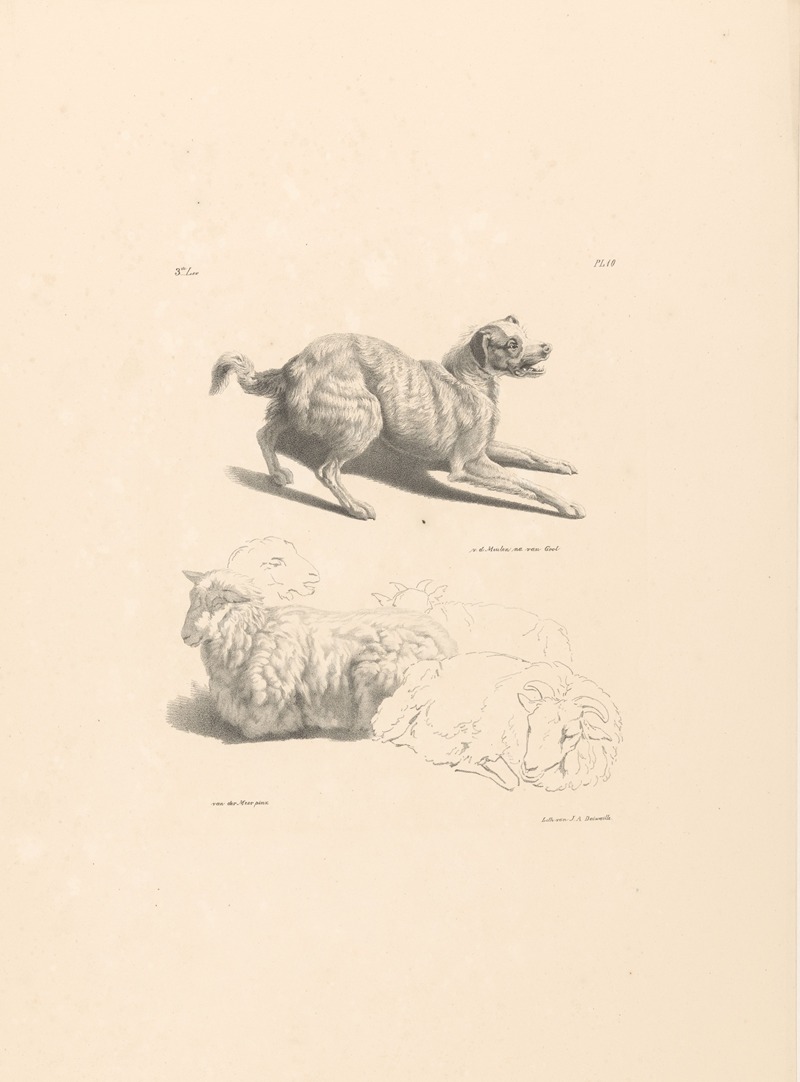 Roelof van der Meulen - Hond en schapen