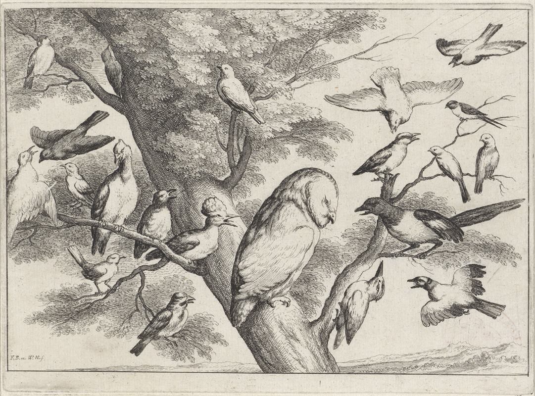 Wenceslaus Hollar - A Barn owl in a tree is surrounded and mobbed by birds of many sorts