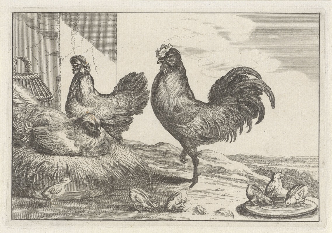 Wenceslaus Hollar - A cock, chicken, hen, and six chicks in a farmyard
