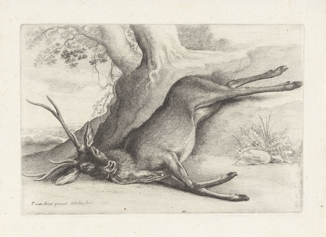 Wenceslaus Hollar - A dead stag lying in a wooded landscape