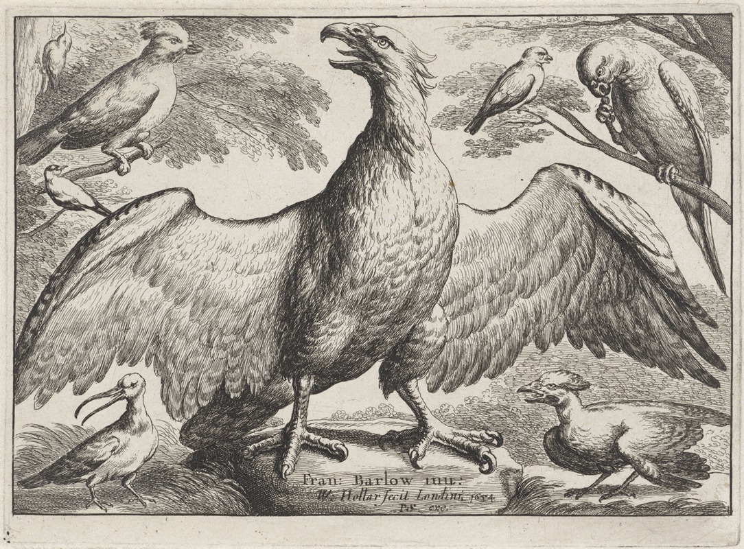 Wenceslaus Hollar - An eagle with outstretched wings standing on a rock, surrounded by six other birds