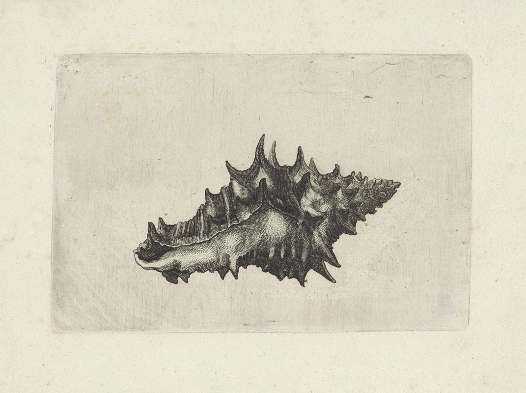Wenceslaus Hollar - Ceramic vase (Vasum ceramicum)