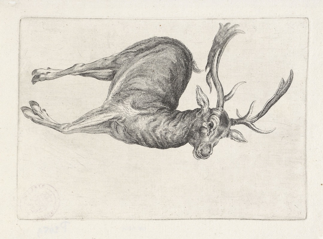 Wenceslaus Hollar - Dead fallow buck lying on its left side, with head to right