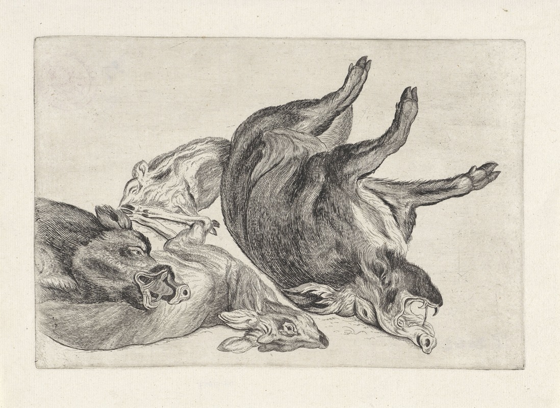 Wenceslaus Hollar - Dead wild boar lying on its right side, another with his head on a dead deer