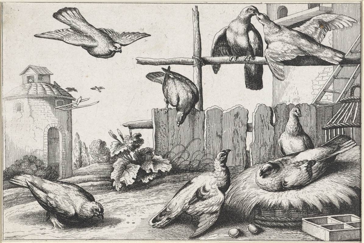 Wenceslaus Hollar - Eight pigeons in a farmyard near a coup; a dovecote in the background