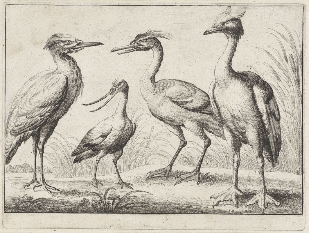 Wenceslaus Hollar - Four wading birds standing on a river bank
