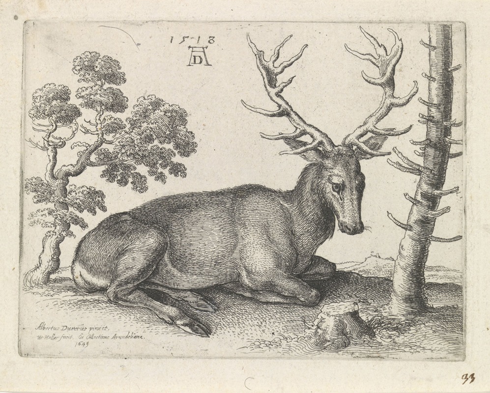 Wenceslaus Hollar - Liggend hert, naar rechts