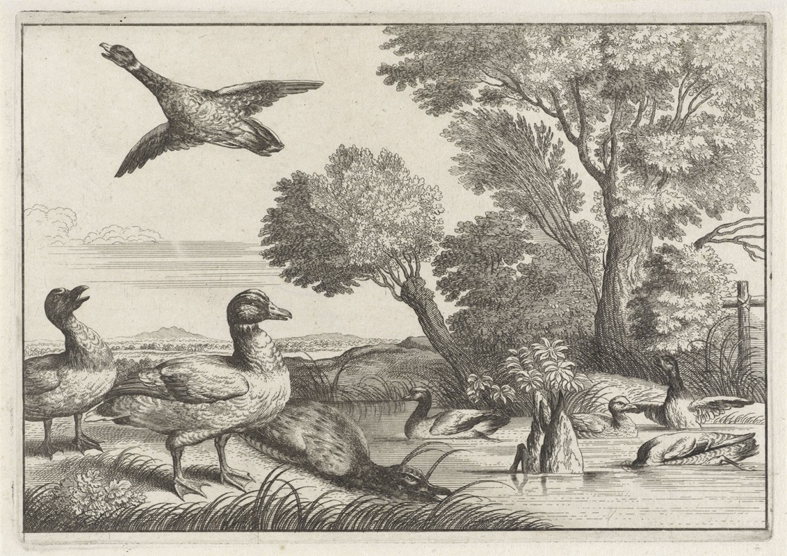 Wenceslaus Hollar - Nine ducks in a variety of poses in a river landscape with willow trees