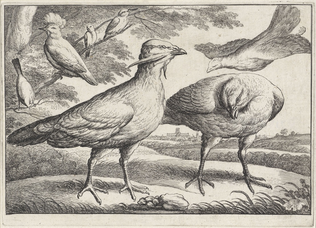 Wenceslaus Hollar - Three bustards, one of them flying in at right