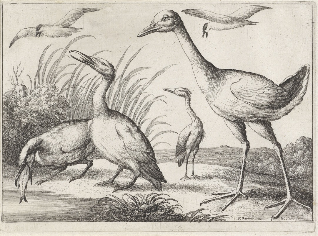 Wenceslaus Hollar - Two cormorants, one of them with a fish in its beak, a heron, and a large wading bird in a river landscape