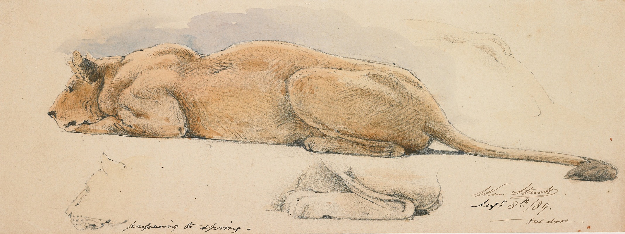 William Strutt - A Lioness Preparing to Spring