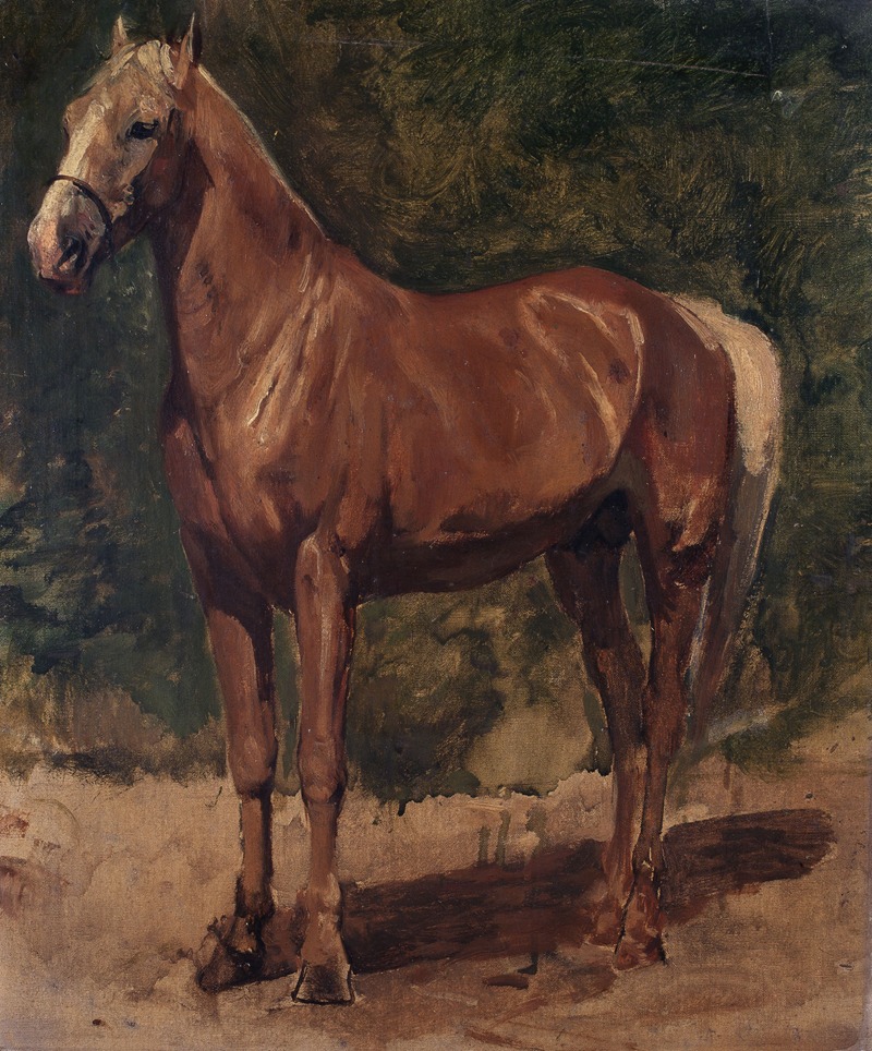 Alfred Verwee - Study of a Horse