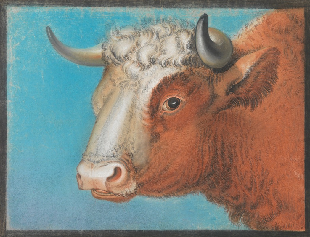 Eugène Joseph Verboeckhoven - Bull’s head