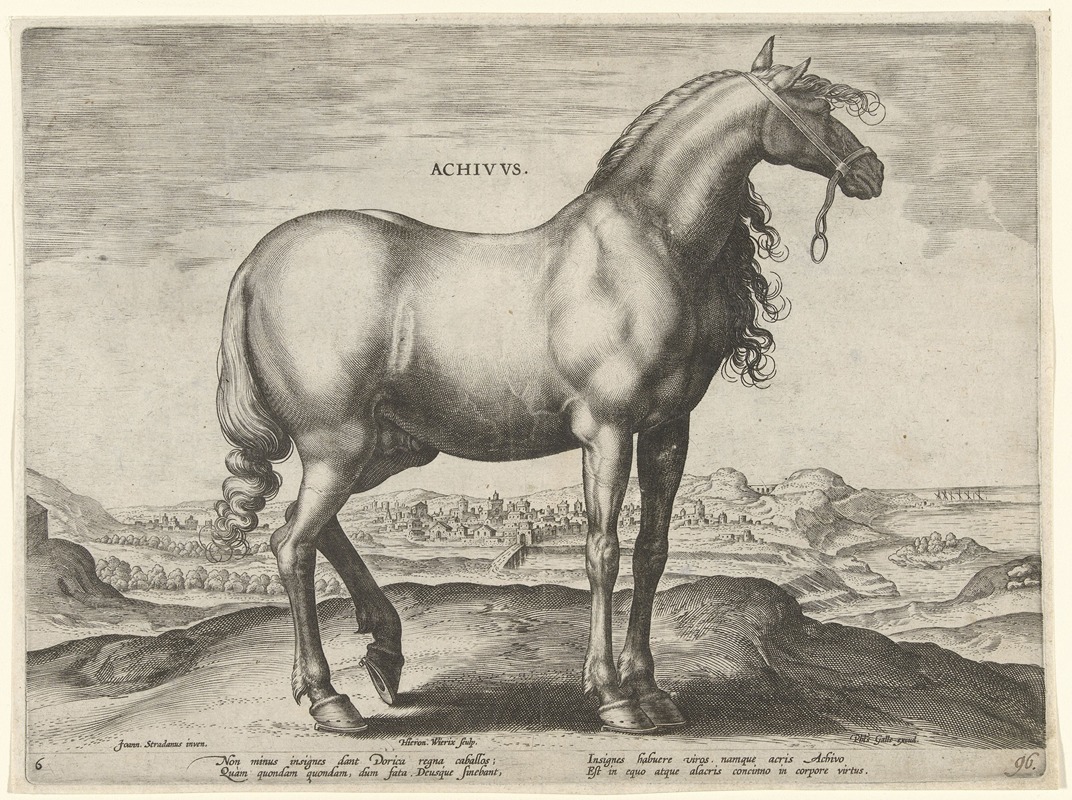 Jan Collaert the Elder - Achivus.